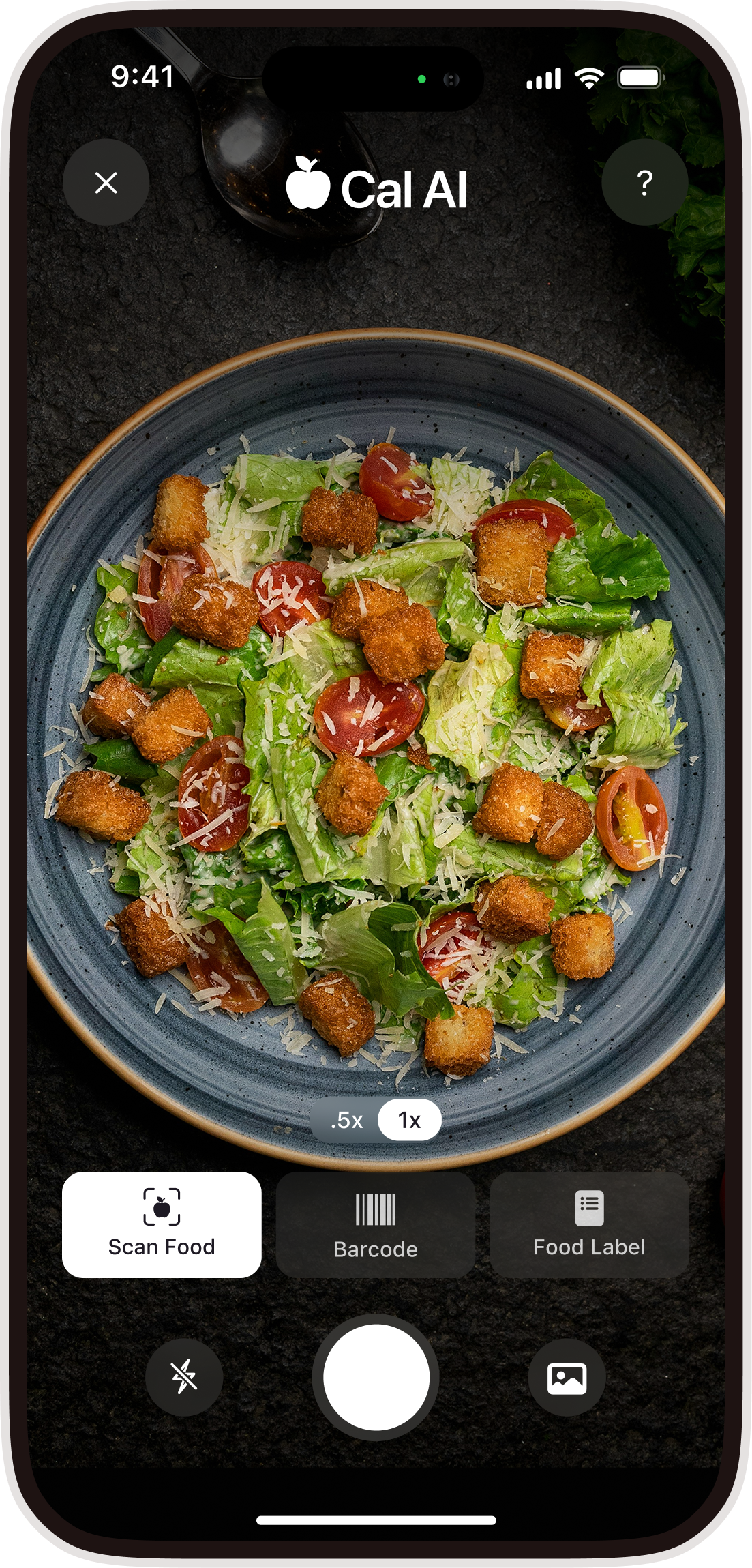 Cal AI Groups - Camera view